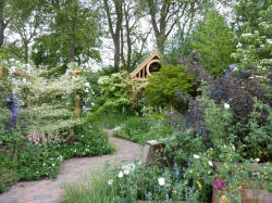 Roger Platts garden