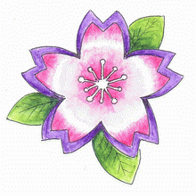 Sakura
